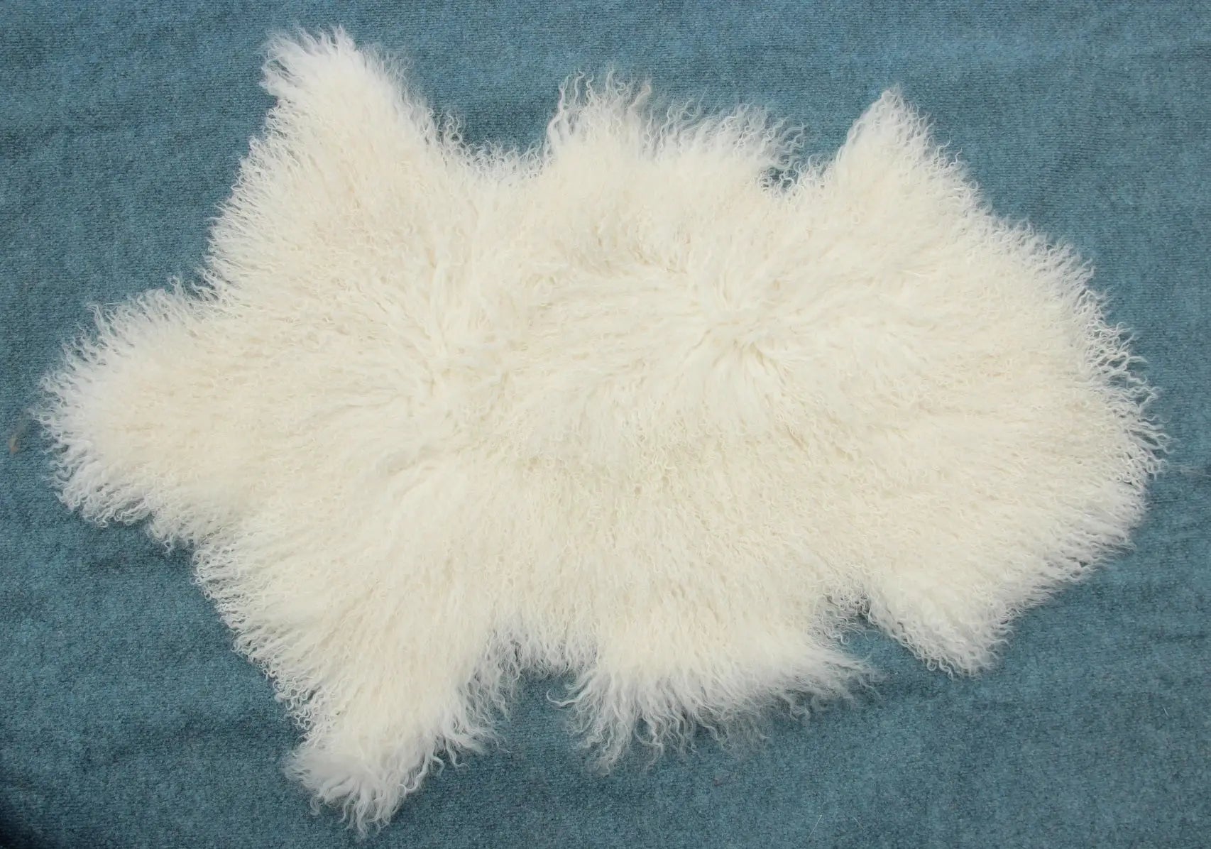 Tibet Schaffell wie Gotland weiß natur