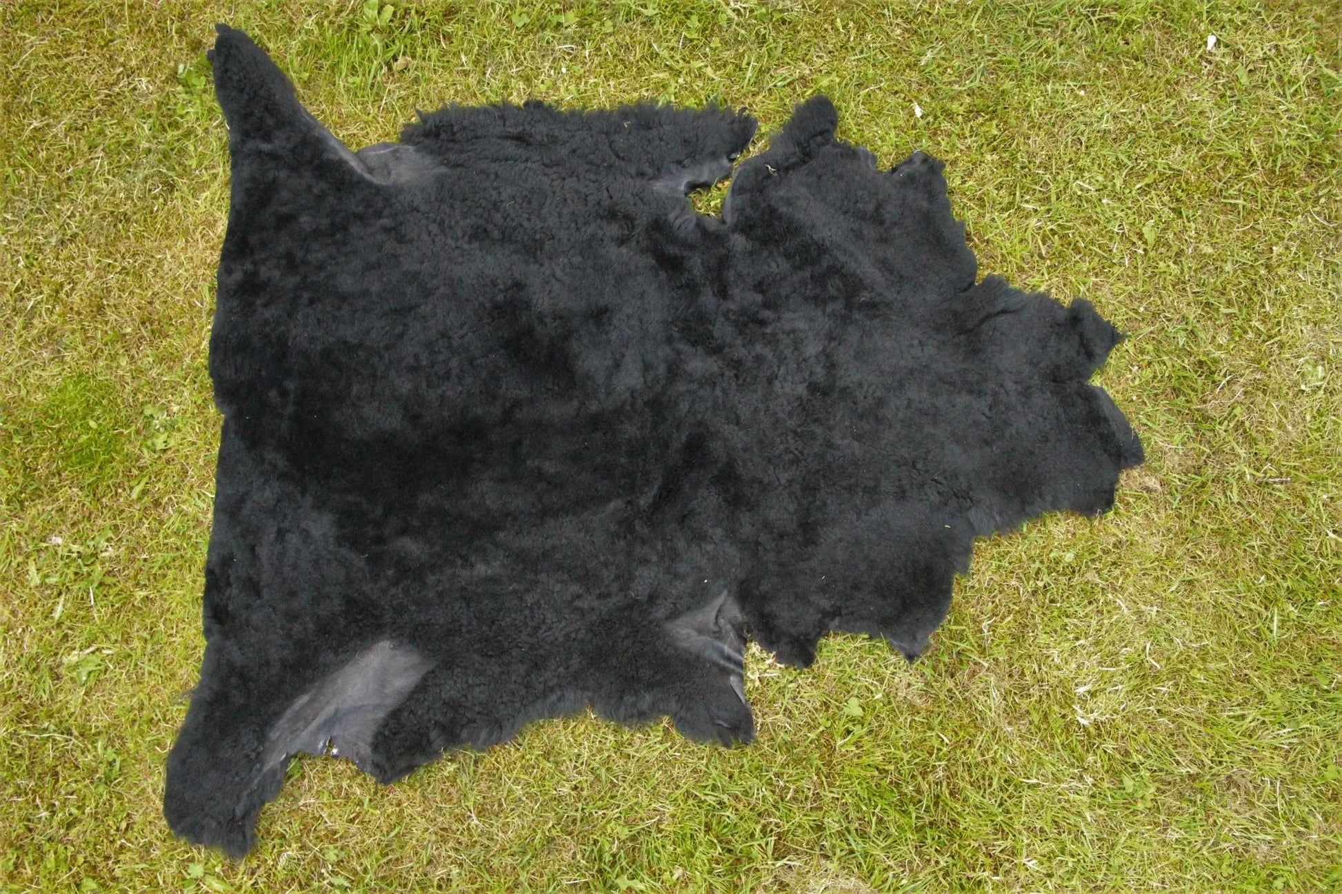 Sonderposten Lammfell Schwarz Nappalan
