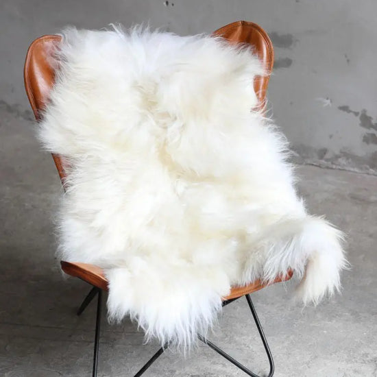 Heidschnucke Naturweiß