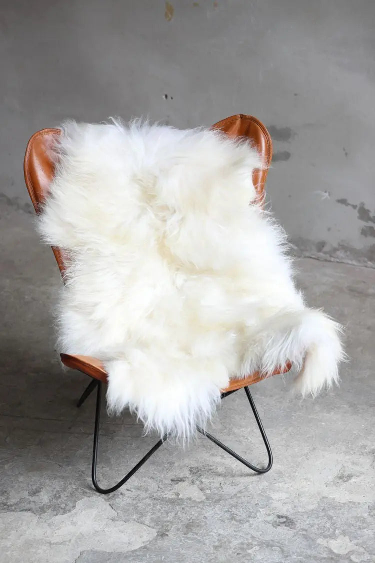 Heidschnucke Naturweiß