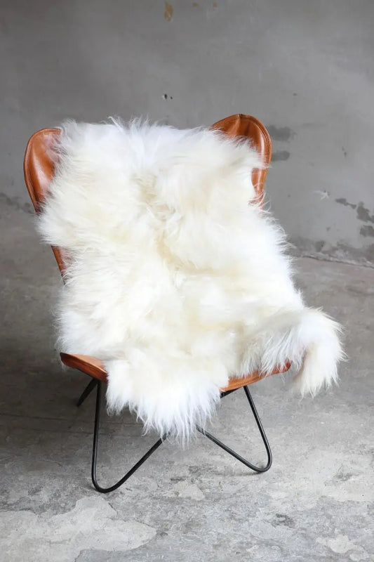 Heidschnucke Naturweiß