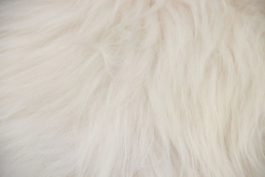 Heidschnucke Naturweiß