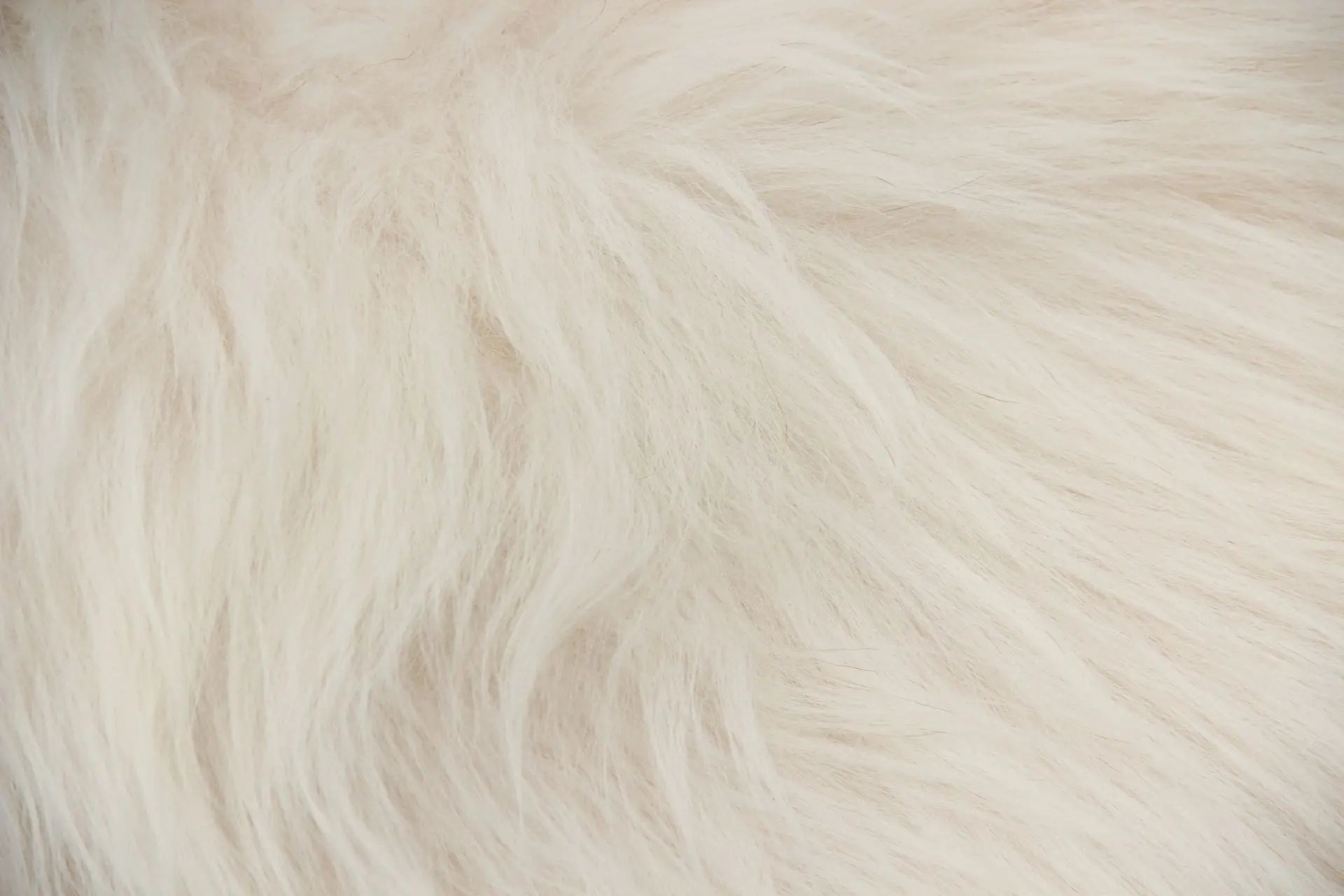 Heidschnucke Naturweiß