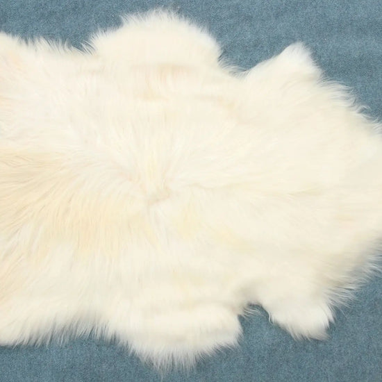 Heidschnucke Naturweiß