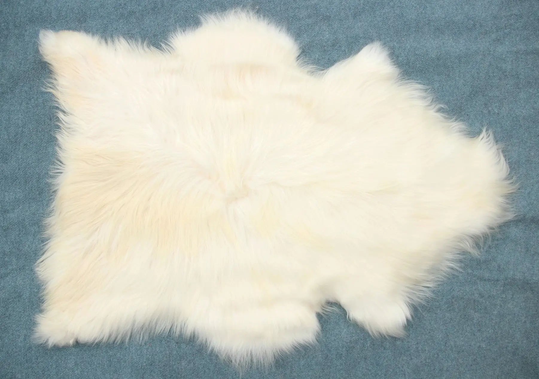 Heidschnucke Naturweiß