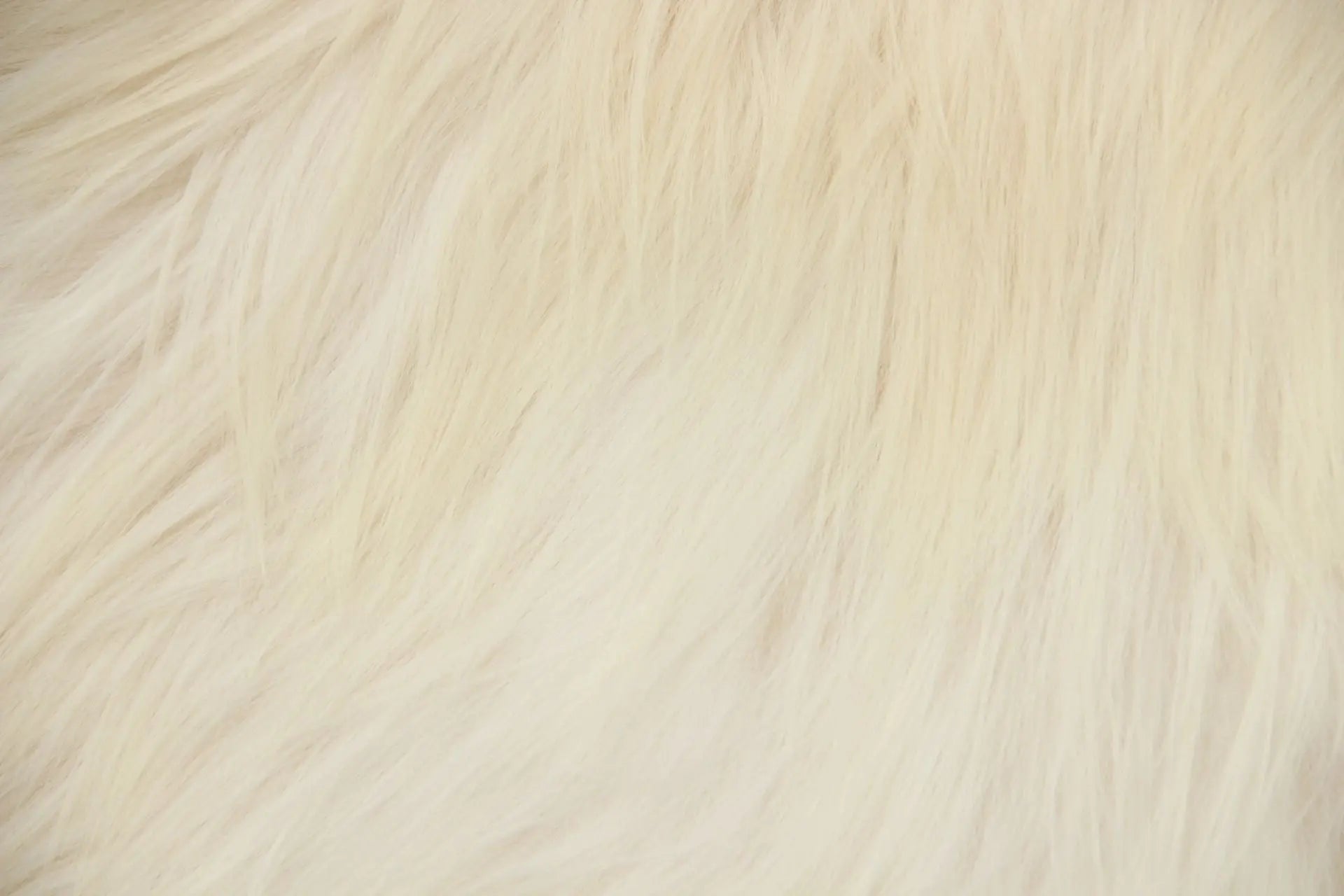 Heidschnucke Naturweiß