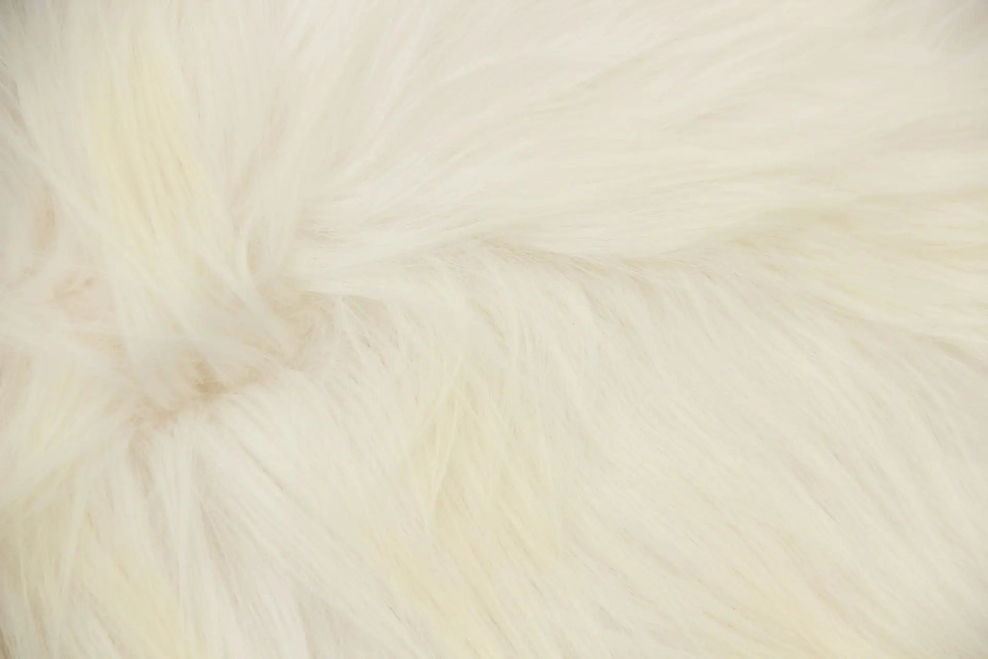 Heidschnucke Naturweiß