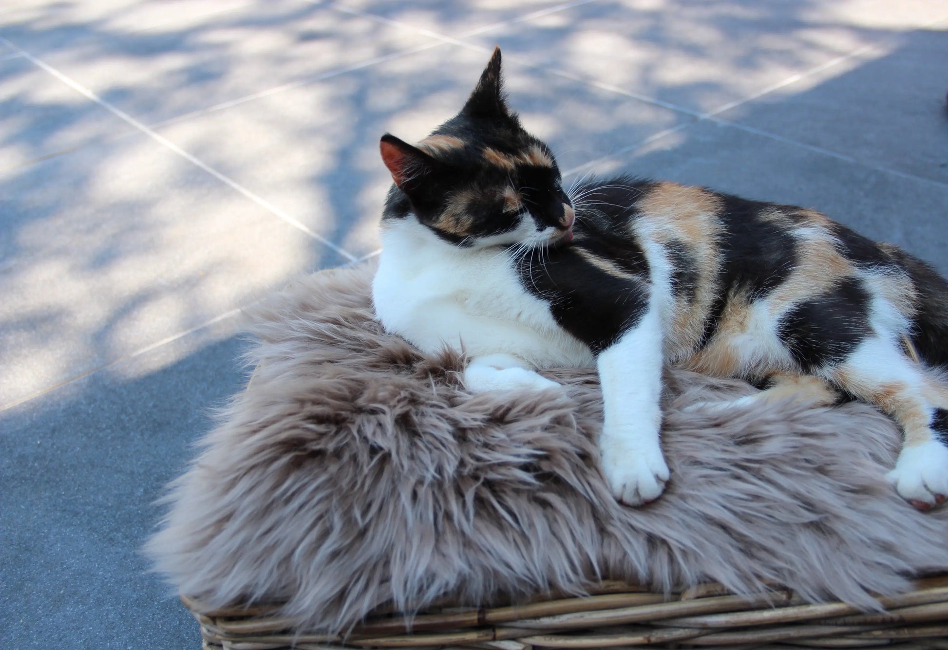 Lammfell Sitzauflage Eckig Taupe