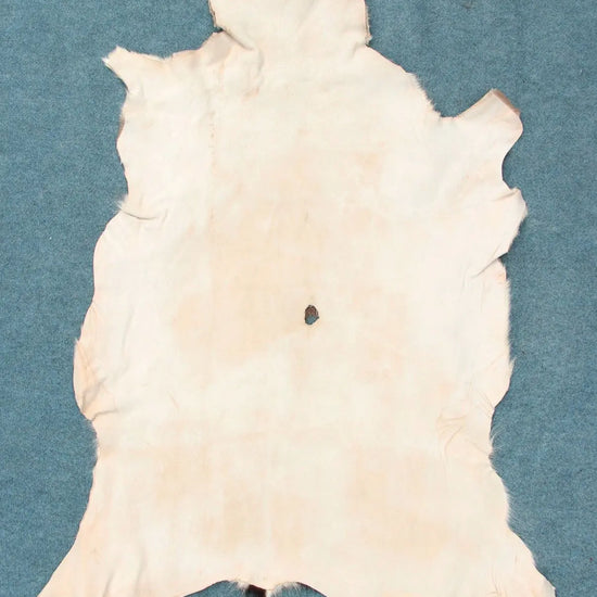 Damhirschdecke Hirschfell mit Fehler
