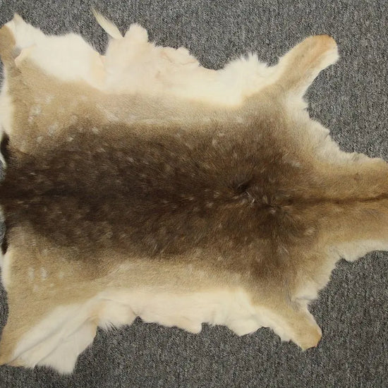 Damhirschdecke Hirschfell mit Fehler