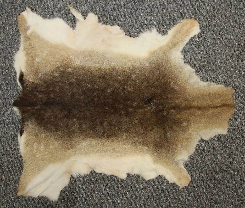 Damhirschdecke Hirschfell mit Fehler