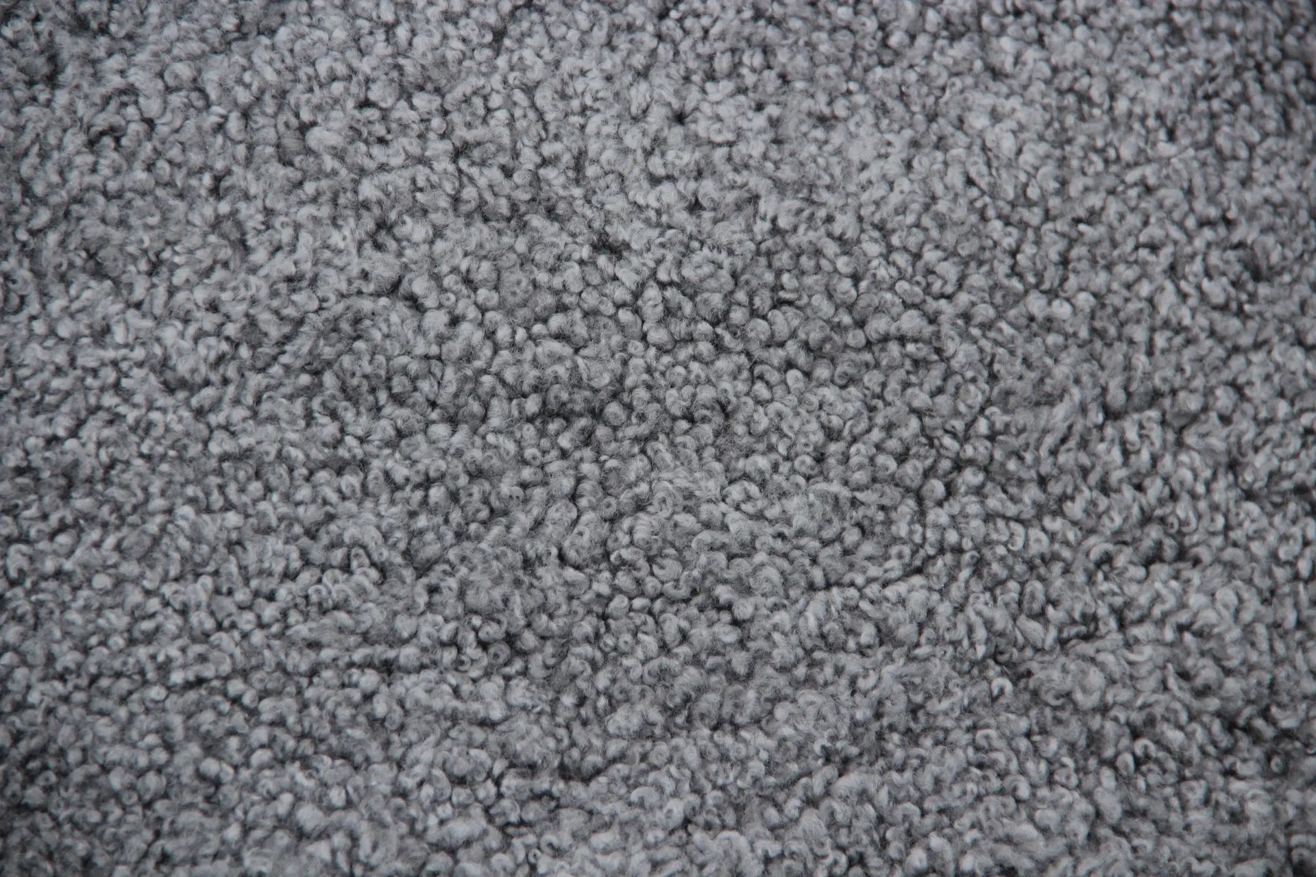 Lammfell Curly - Grau - (geschoren gelockt)