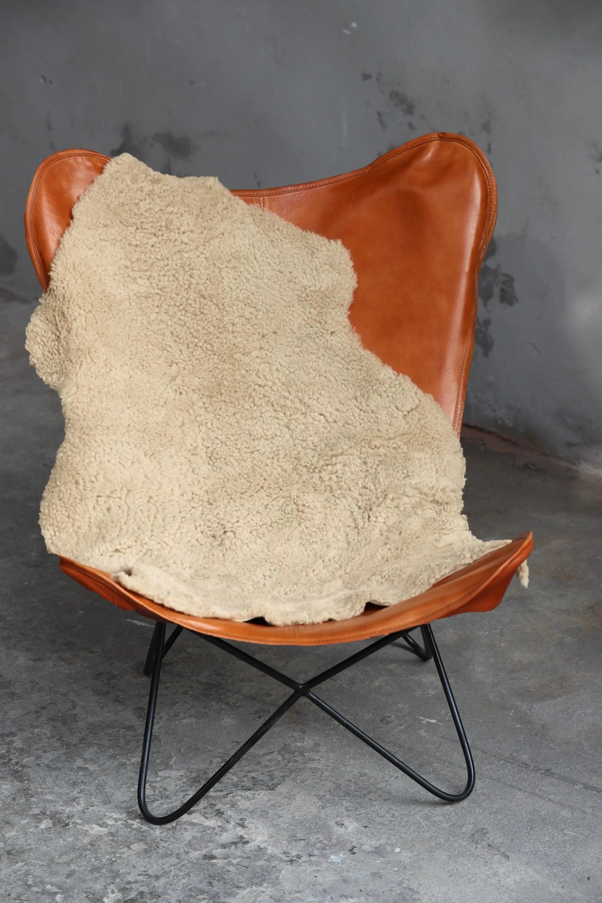 Lammfell Curly - Sand - (geschoren gelockt beige/braun)