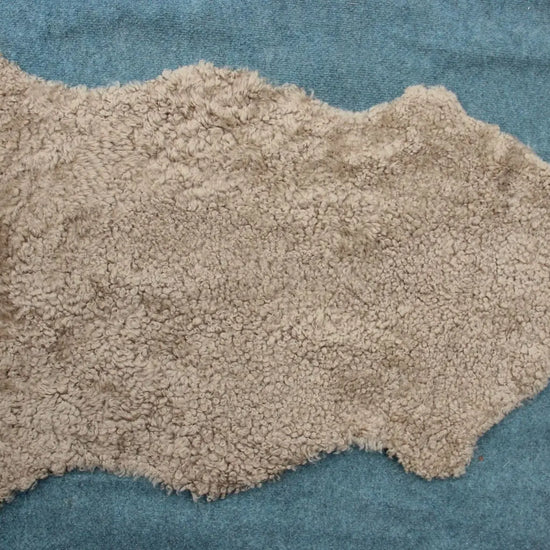 Lammfell Curly - Sand - (geschoren gelockt beige/braun)