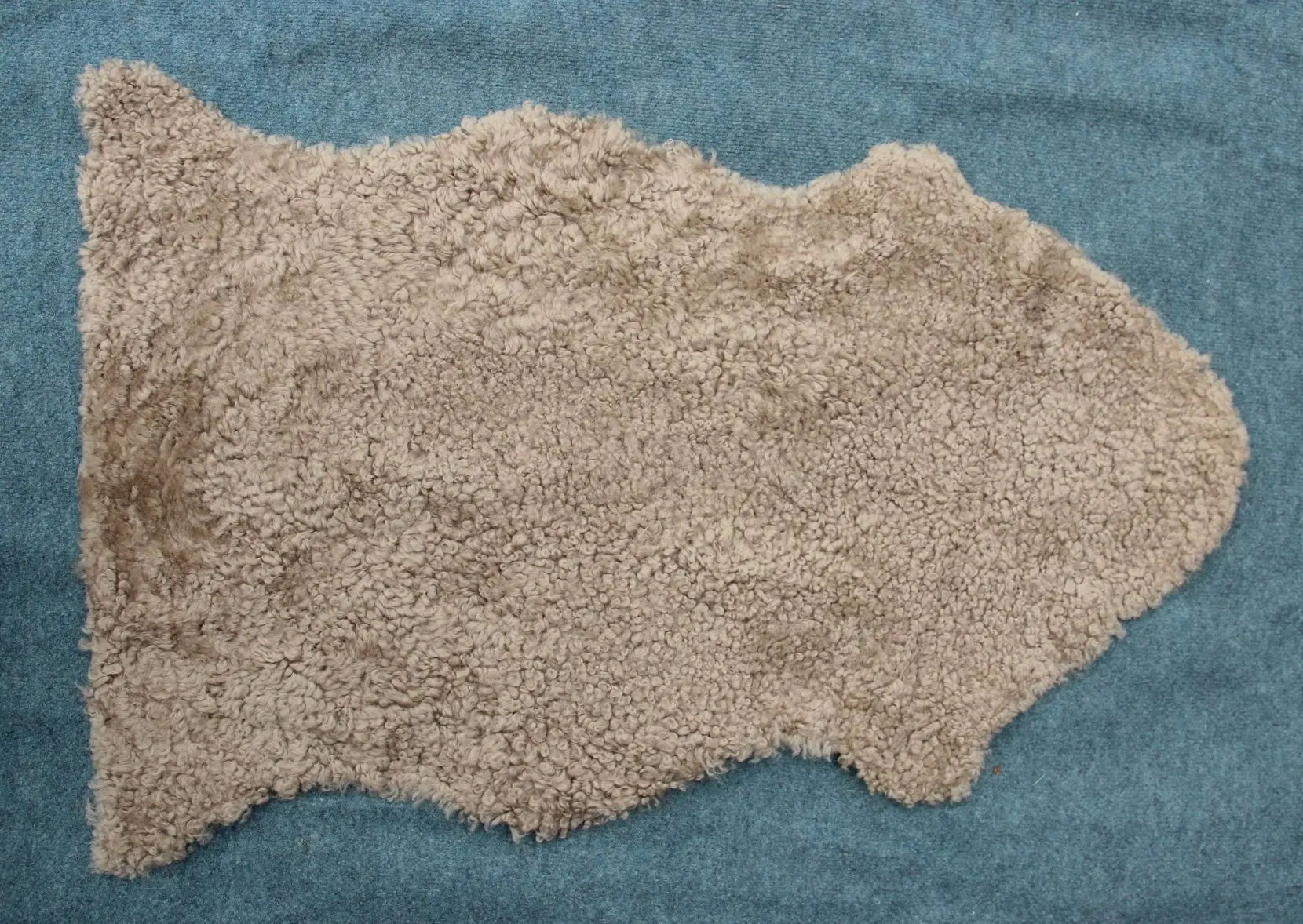 Lammfell Curly - Sand - (geschoren gelockt beige/braun)