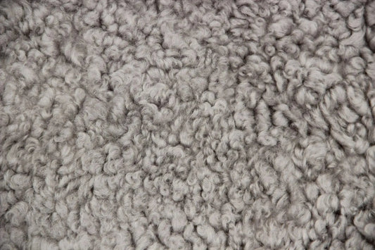 Lammfell Curly - Platin - (geschoren gelockt hellgrau)