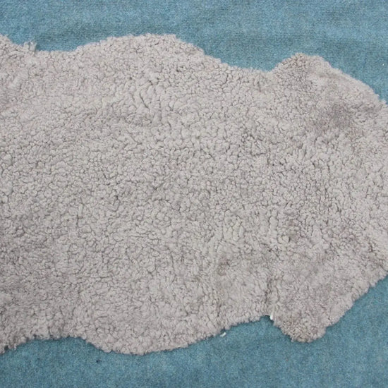 Lammfell Curly - Platin - (geschoren gelockt hellgrau)