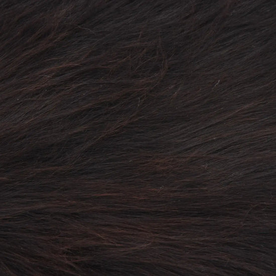 Heidschnucke Schwarz mit weißem Bauch