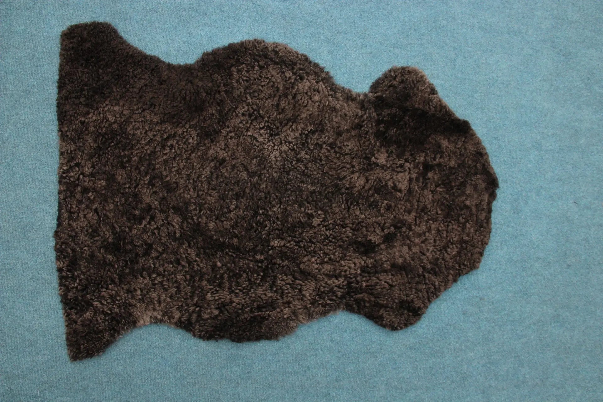 Lammfell Curly -  Mocca - (geschoren gelockt braun)