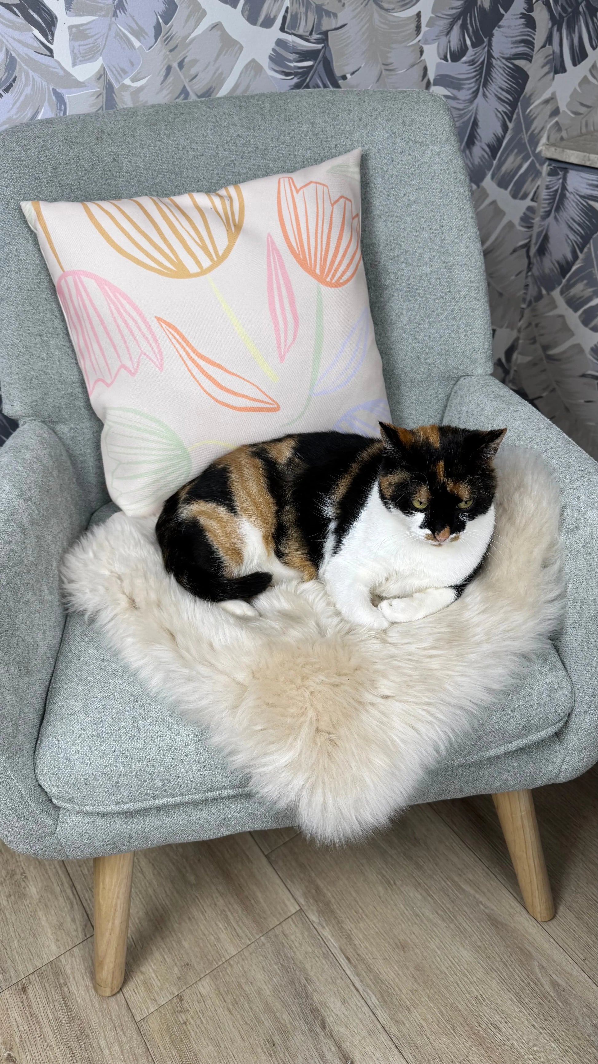 Lammfell Sitzauflage Eckig Perl auf Stuhl - Anwendungsbeispiel mit Katze