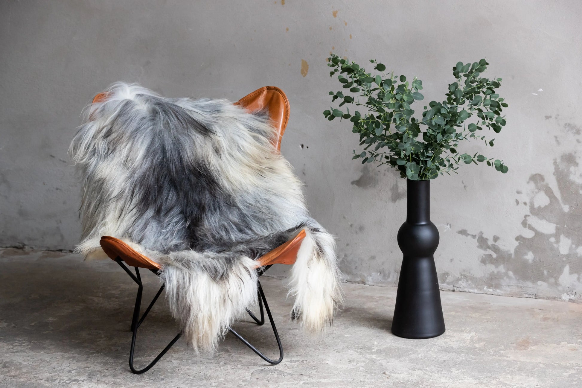 Heidschnucke grau  Gerberei Birke Fellshop