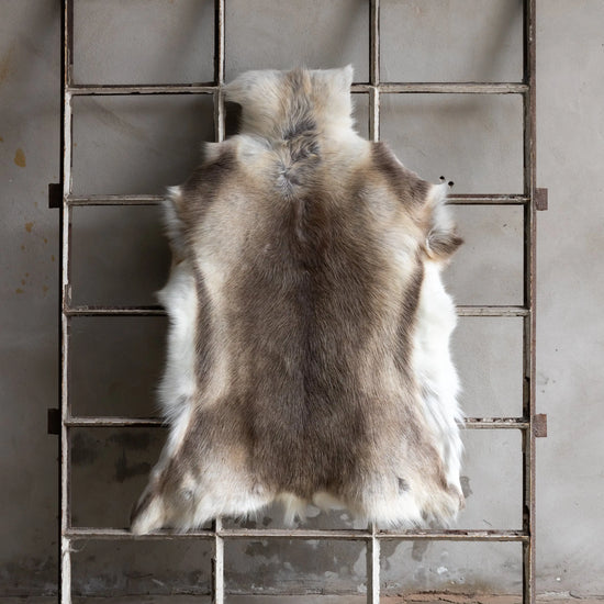 Rentierfell Naturfarben Gerberei Birke