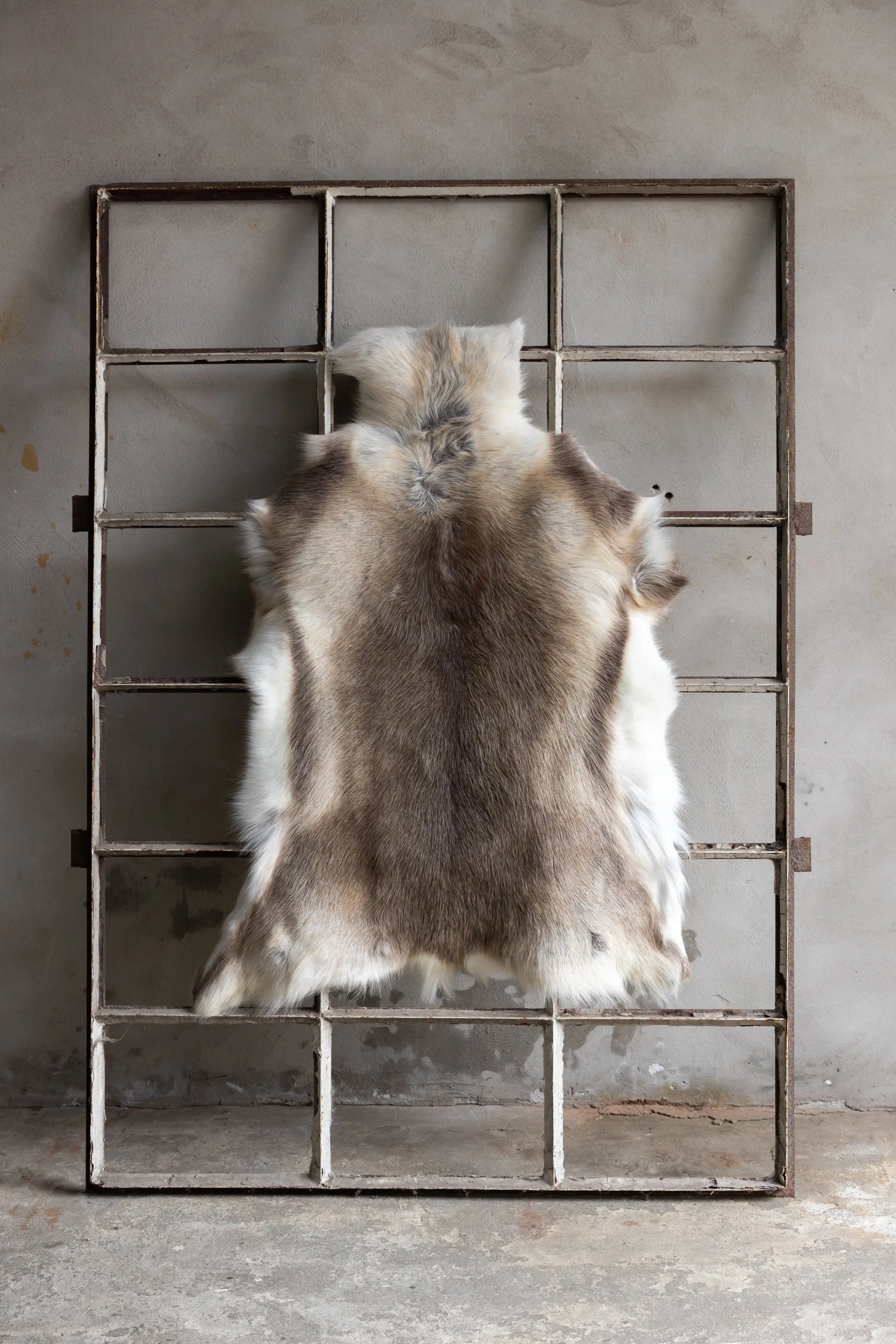 Rentierfell Naturfarben Gerberei Birke