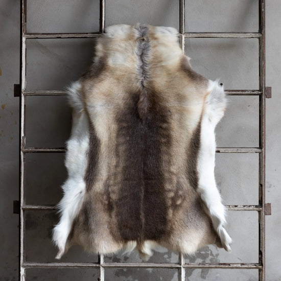 Rentierfell Naturfarben Gerberei Birke