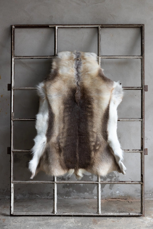 Rentierfell Naturfarben Gerberei Birke