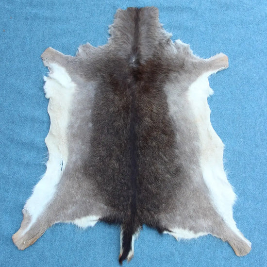 Damhirschdecke Hirschfell Naturfarben dunkel