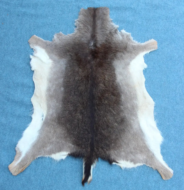 Damhirschdecke dunkel – Hirschfell naturbelassen 1. Wahl