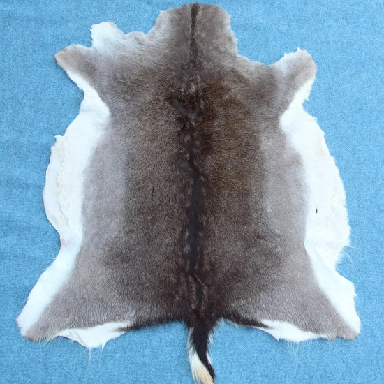 Damhirschdecke Hirschfell Naturfarben dunkel
