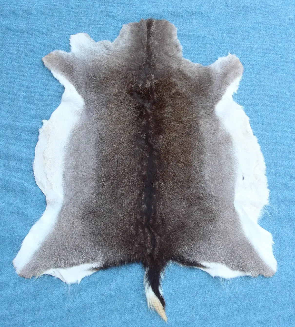 Damhirschdecke Hirschfell Naturfarben dunkel