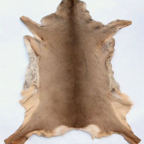 Rehdecke Rehfell 1. Wahl (Winterfell)