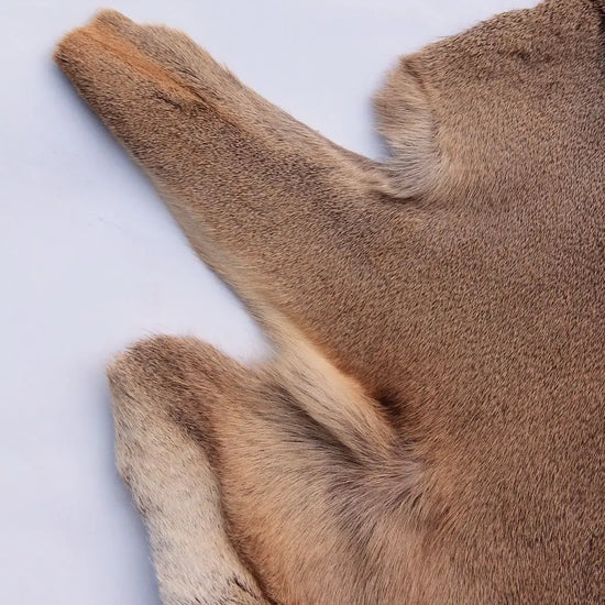 Rehdecke Rehfell 1. Wahl (Winterfell)