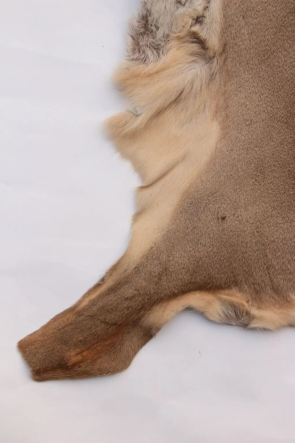 Rehdecke Rehfell 1. Wahl (Winterfell)