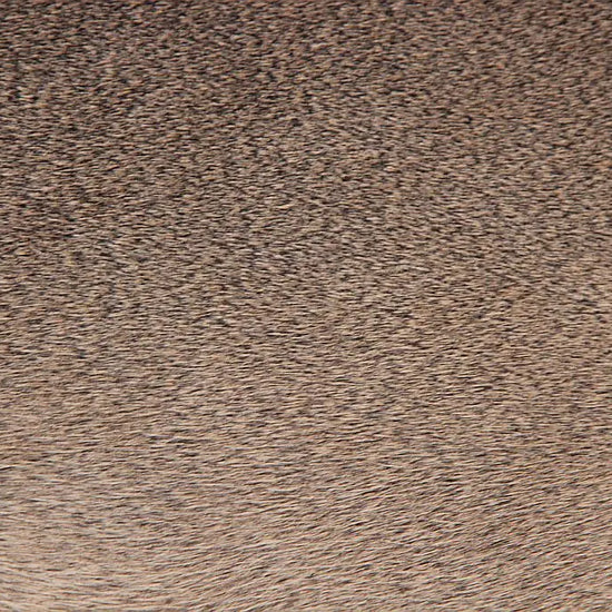 Rehdecke Rehfell 1. Wahl (Winterfell)