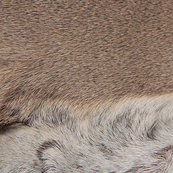 Rehdecke Rehfell 1. Wahl (Winterfell)