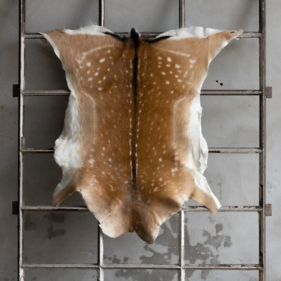 Damhirschdecke Hirschdecke Hirschfell gepunktet Winterfell