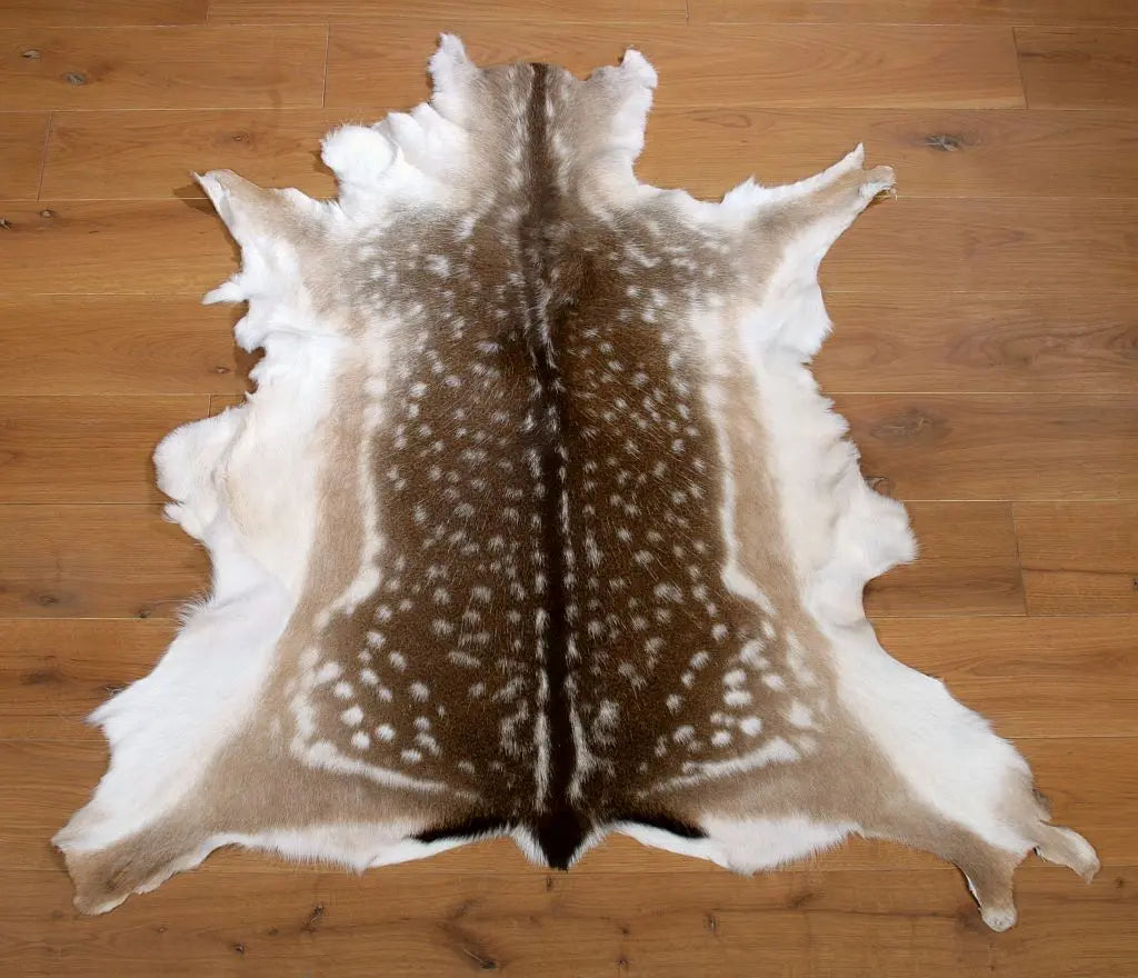 Damhirschdecke Hirschdecke Hirschfell gepunktet Winterfell