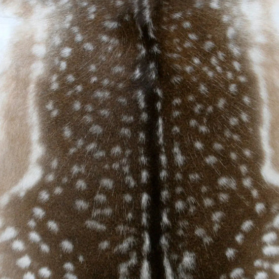 Damhirschdecke Hirschdecke Hirschfell gepunktet Winterfell