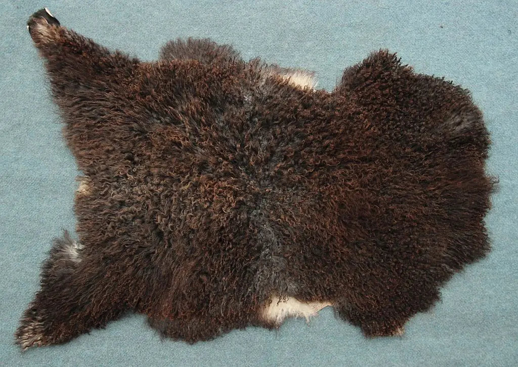 Gotland Schaffell (21)