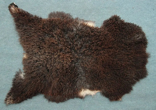 Gotland Schaffell (21)