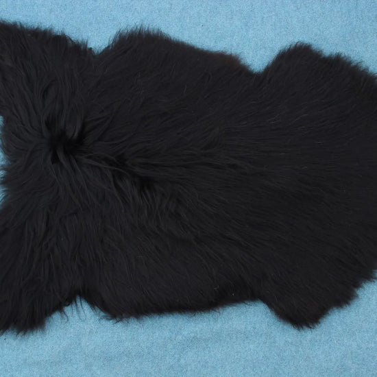 Heidschnucke Schwarz