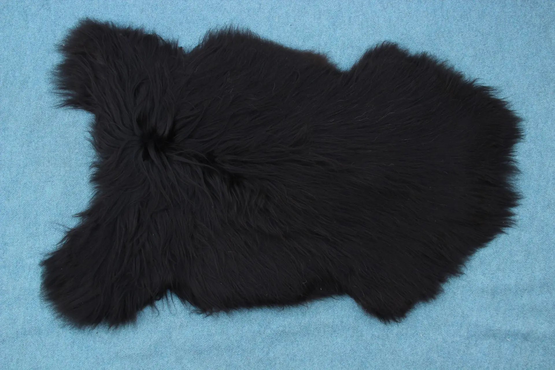 Heidschnucke Schwarz