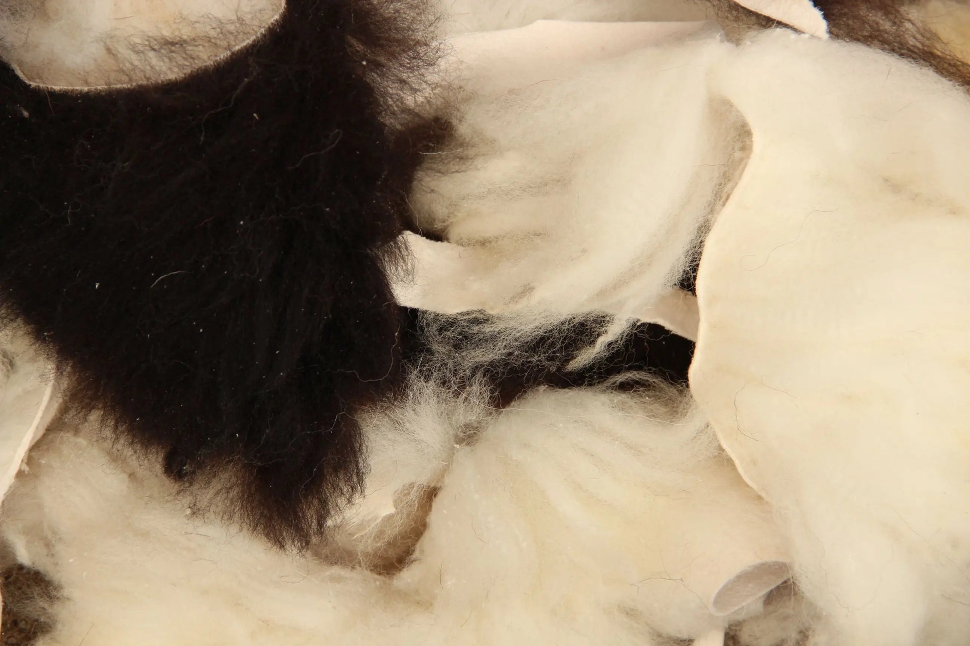 Lammfell-Reste (kleine Stücke zum Basteln)