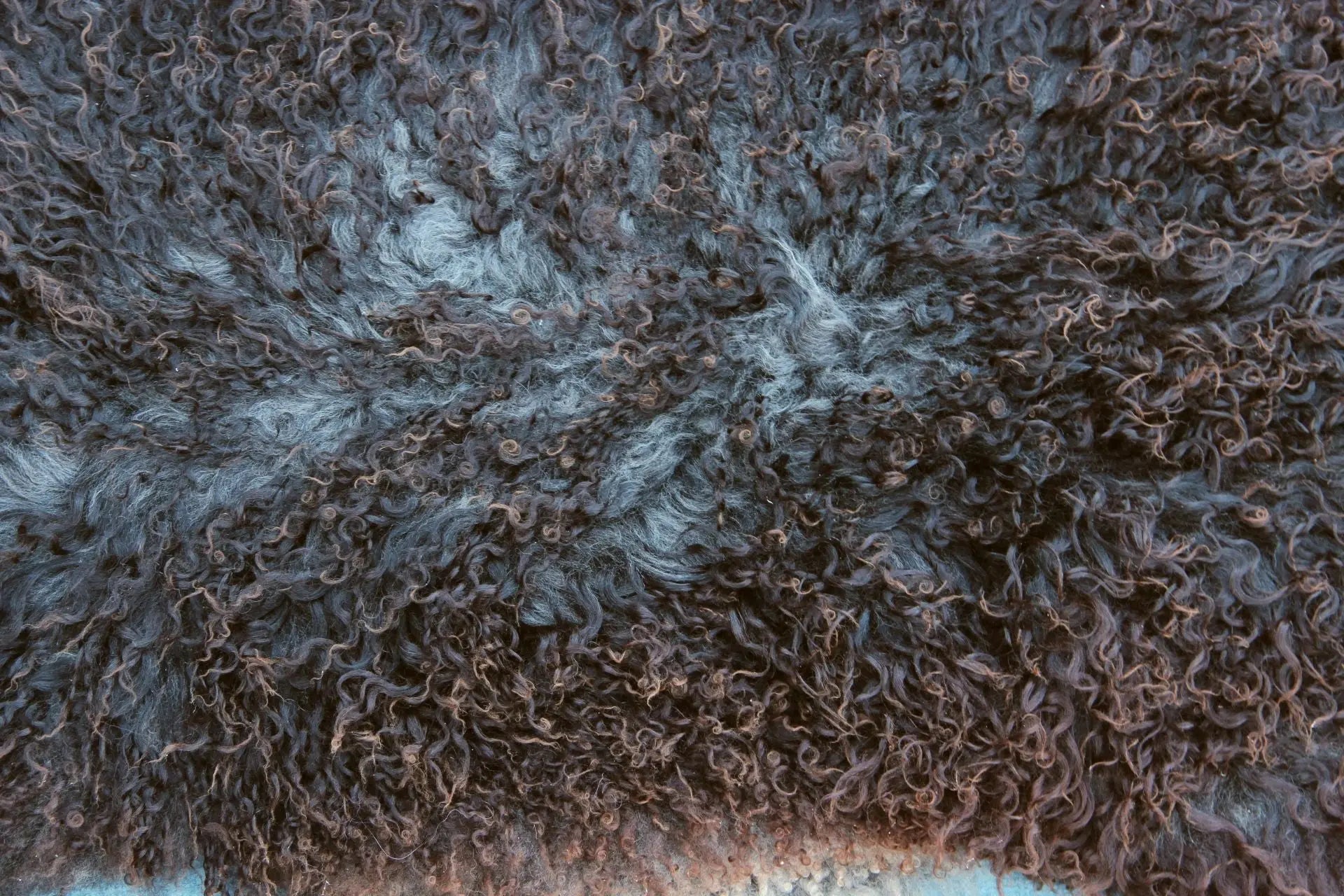 Gotland Schaffell (201)