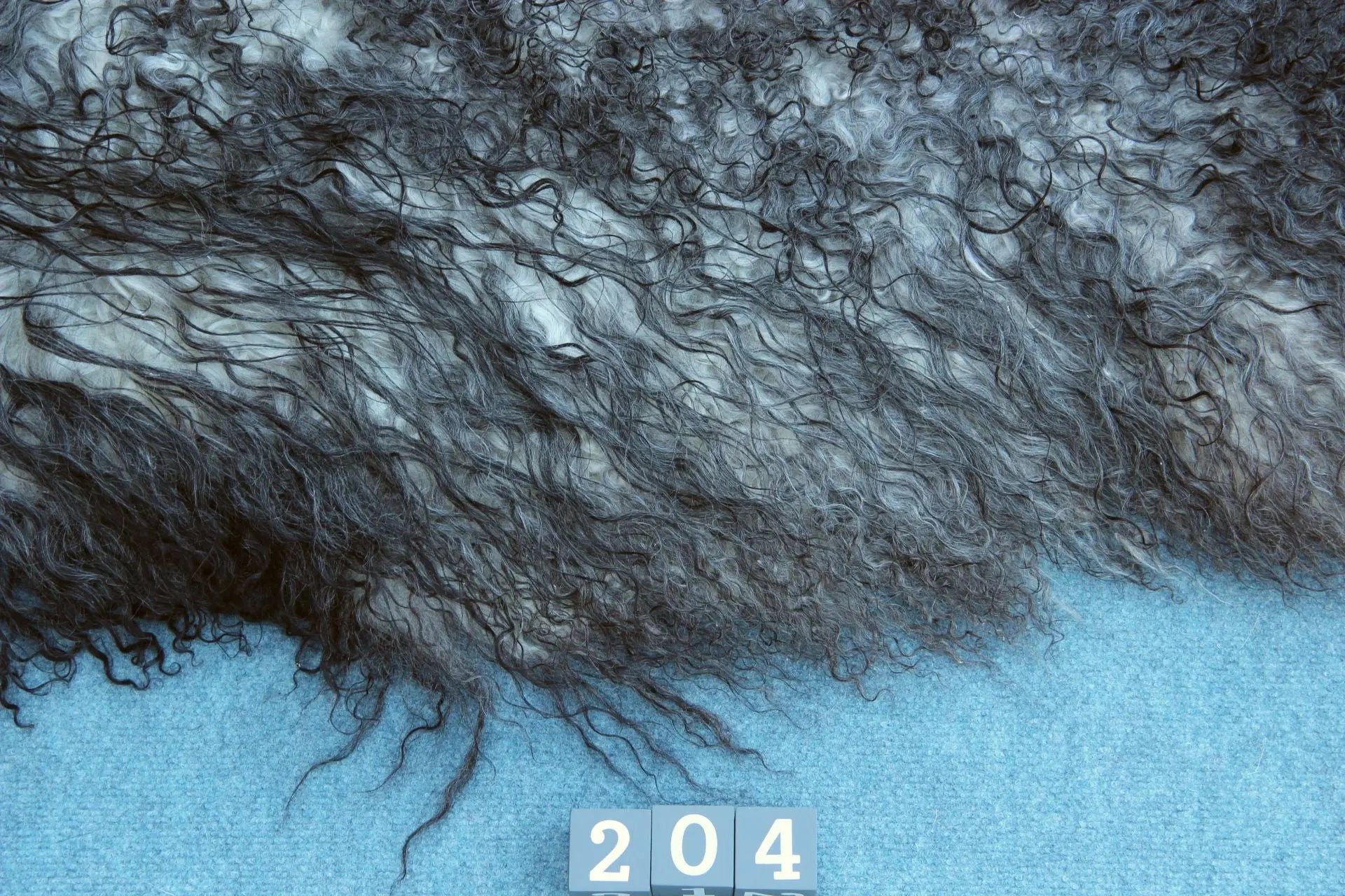 Gotland Schaffell (204)