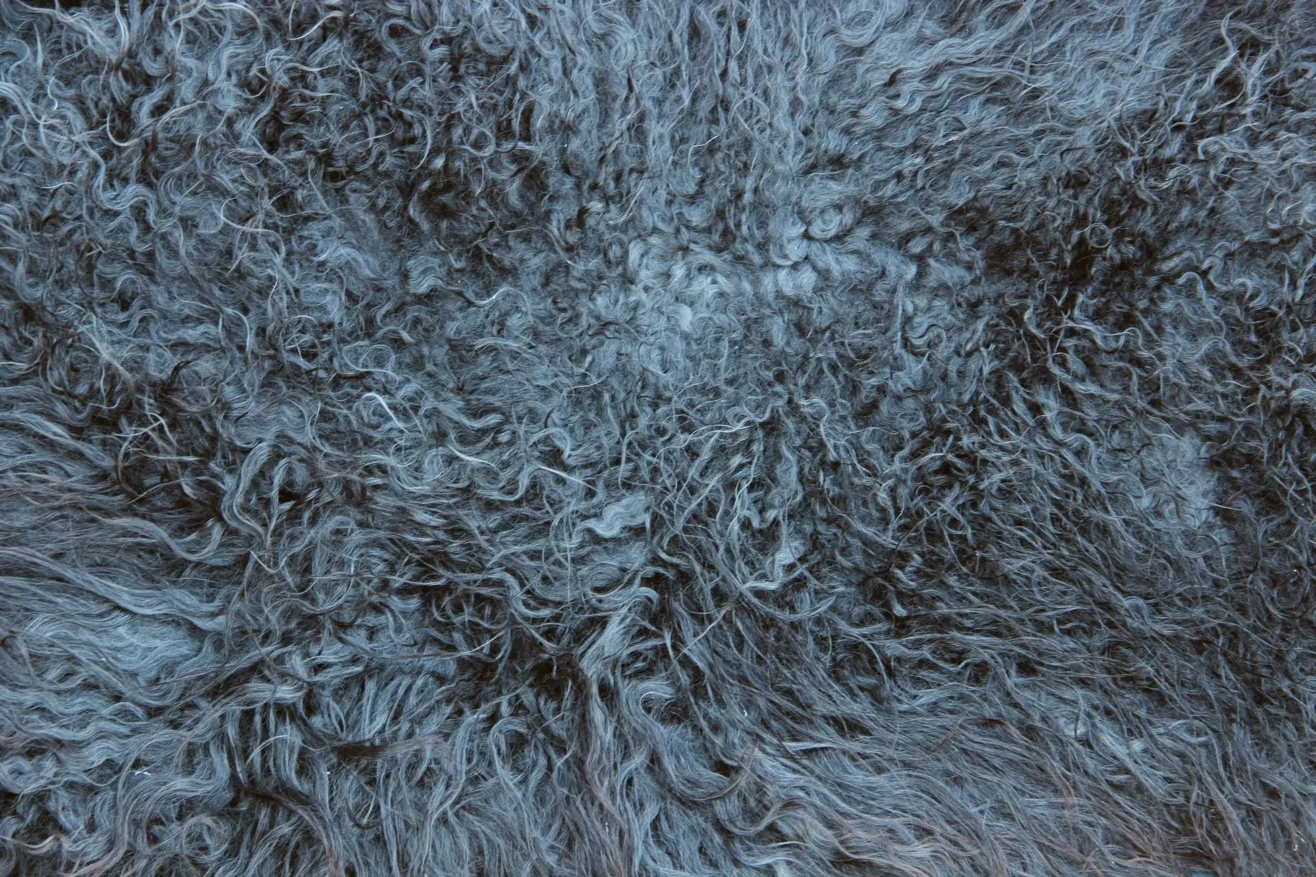 Gotland Schaffell (205)