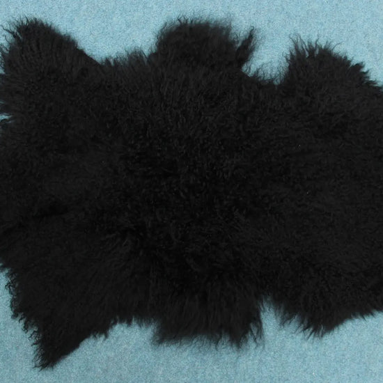 Tibet Schaffell wie Gotland schwarz gefärbt